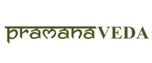 pramanaveda_Logo